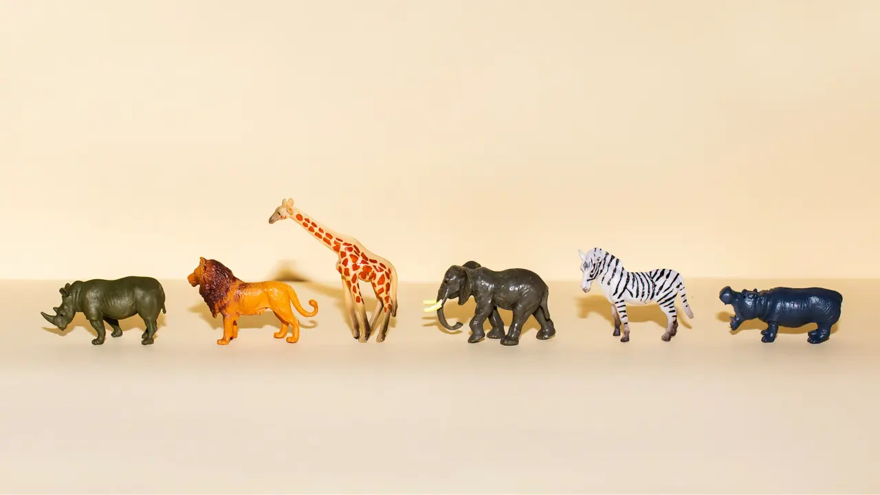 Animals ESL Discussion Questions - Smart Discussions